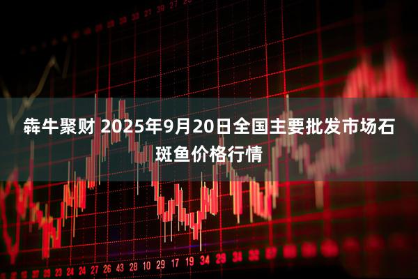 犇牛聚财 2025年9月20日全国主要批发市场石斑鱼价格行情