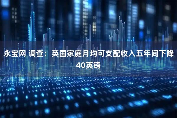 永宝网 调查：英国家庭月均可支配收入五年间下降40英镑