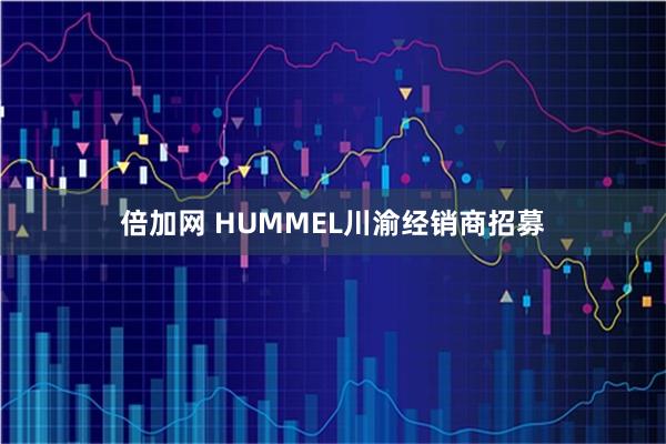 倍加网 HUMMEL川渝经销商招募